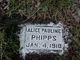  Alice Pauline Phipps