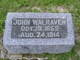  John Walraven