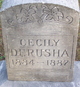  Cecily Derusha