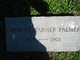  Charles Warner Palmer