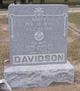  Andrew Johnson Davidson