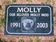  Molly Moo