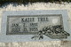  Katie Tree