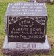  Lydia Ellen <I>Rees</I> Bear