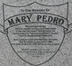  Mary Ellen <I>Doran</I> Pedro