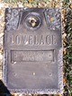 Linda Jo Lovelace Photo