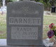  Randy Garnett