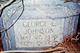  George Lorenzo Johnson