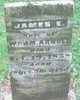  James E. Arnold