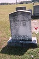  Johnie E. Johnson