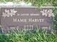 Mamie Harvey Photo
