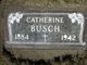  Catherine A. <I>Werner</I> Busch