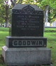  Eliza H Goodwin