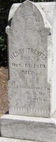  Henry Trevits