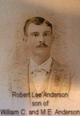  Robert Lee Anderson