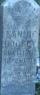 Nancy L “Nannie” Farner Godsey Photo