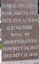  Catherine <I>Harrington</I> Sullivan