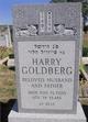  Harry Goldberg