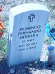  Domingo Fernando Herrera