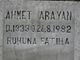  Ahmet Arayan
