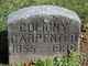  Coligny Carpenter