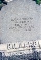  Eliza Jane <I>Jamison</I> Hillard