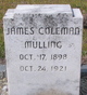  James Coleman Mulling