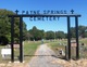 Payne Springs Cemetery