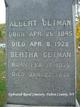  Albert N Getman