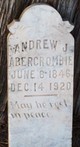  Andrew Jackson Abercrombie