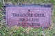  Theodore Greil