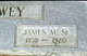  James McHenry Cowey Sr.