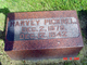  Harvey Pickrel Jr.