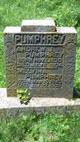  Andrew Jackson Pumphrey
