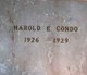  Harold E. Condo
