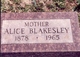  Sina Alice “Allie” <I>Kennedy</I> Blakesley