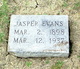  Jasper Evans