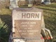  Martha Ann <I>Henderson</I> Horn