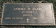  Samuel Wilburn Blair Jr.