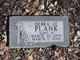 Debra Jo <I>Shearrer</I> Plank