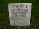  Albert J Anderson