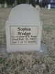 Sophia Wedge