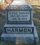  Bessie Harmon