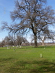 Anderson Pioneer Cemetery