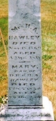  Harriet A. <I>Bickford</I> Hawley
