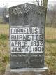  Cornelius Donaldson Burnette