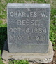 Judge Charles Wayne Reese