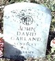 Pvt John David Garland