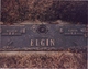  William Henry Elgin