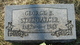  George B Steenbarger